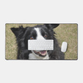 Bordure Collie (Clavier et souris)