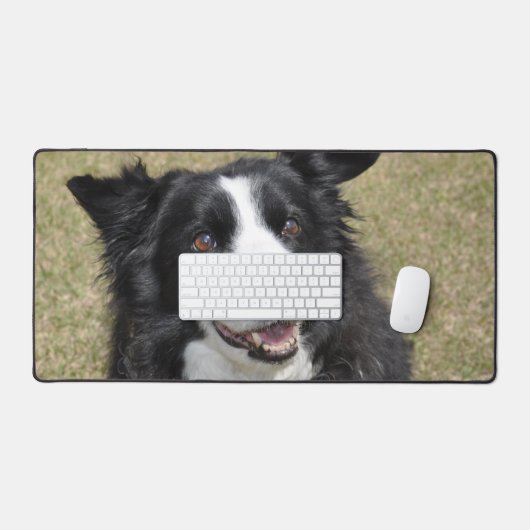 Bordure Collie (Clavier et souris)