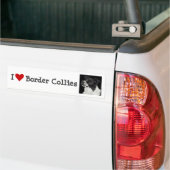Bordure Collie Bumper Sticker - "Ben" (Sur camion)