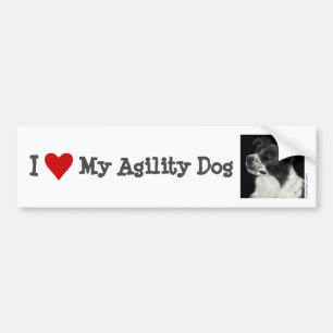 Bordure Collie Bumper Sticker - "Ben" 2
