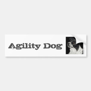 Bordure Collie Bumper Sticker - "Ben" 3