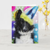 Bordure Collie Carte d'anniversaire (Fleur jaune)