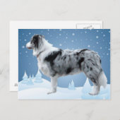 Bordure Collie carte postale~Noël (Devant / Derrière)