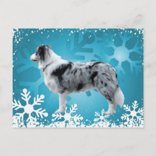 Bordure Collie Carte postale~Noël