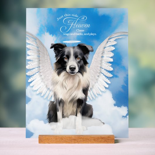Bordure Collie Chien Angel avec nom Pet Memorial (Neutre)