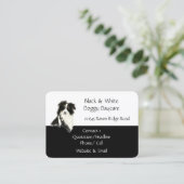 Bordure Collie Chien Animal Carte de visite d'aqua (Debout devant)