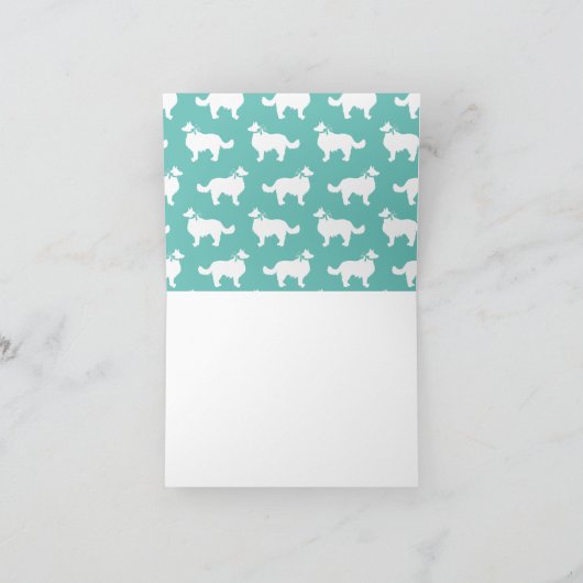Bordure Collie Chien Chien Chien Puppy (Intérieur)