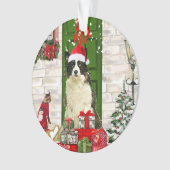 Bordure Collie Chien Noël (devant)