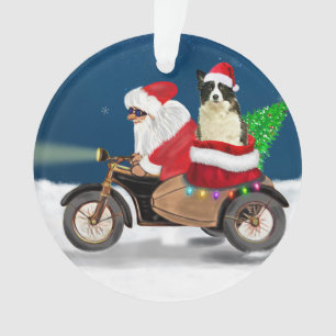 Bordure Collie Chien Noël Père Noël