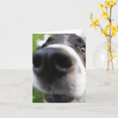 Bordure Collie Chien Visage Gros plan Carte de voe (Fleur jaune)