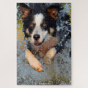 Bordure Collie Chiens. Jigsaw Puzzle