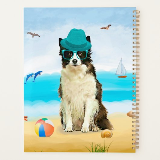 Bordure Collie Dog sur la plage (Dos)