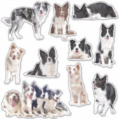 Bordure Collie ensemble de 10 autocollants (Devant)