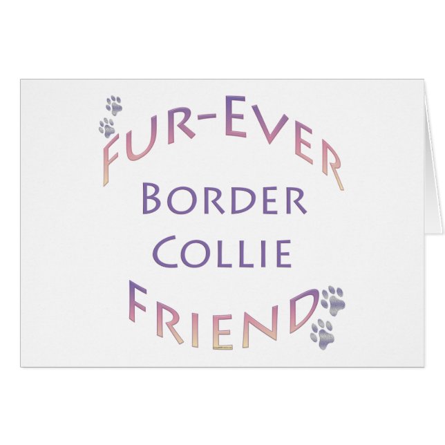 Bordure Collie Furever (Devant horizontal)