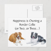 Bordure Collie Happy Carte postale (Devant / Derrière)