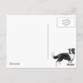 Bordure Collie Happy Carte postale (Dos)