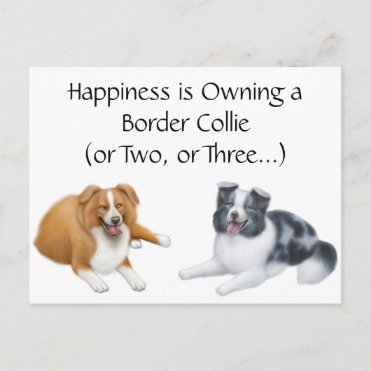 Bordure Collie Happy Carte postale (Devant)