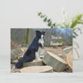 Bordure Collie Invitation Anniversaire (Debout devant)