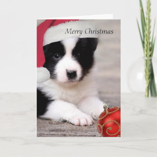 Bordure Collie - Joyeuse carte de Noël