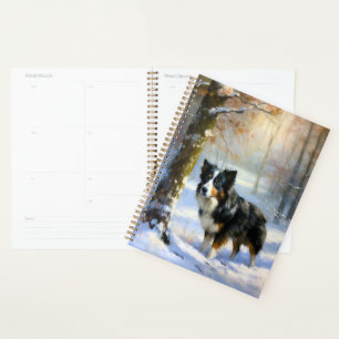 Bordure Collie Laisser neiger Noël
