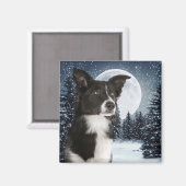 Bordure Collie Magnet (Recto/Verso)
