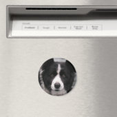 Bordure Collie Magnet (In Situ (Lave-vaisselle))