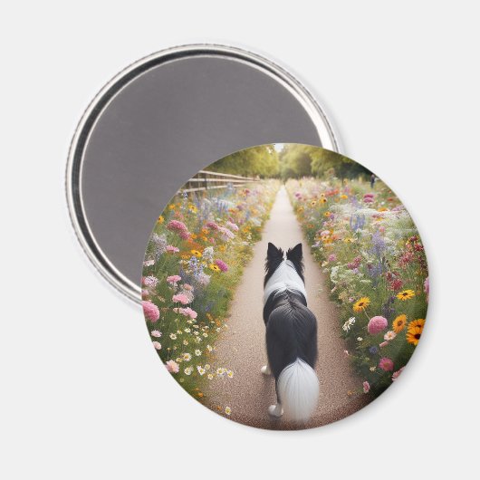 Bordure Collie Magnet (Recto/Verso)