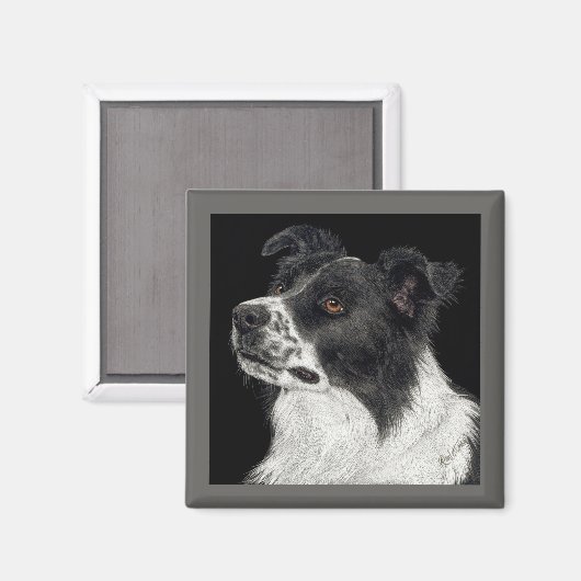 Bordure Collie Magnet - "Ben" (Recto/Verso)