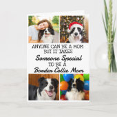 Bordure Collie...Meilleure carte mère (Devant)