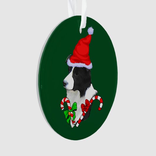Bordure Collie Noël (devant)