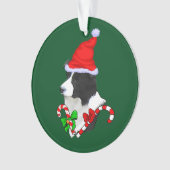 Bordure Collie Noël (devant)