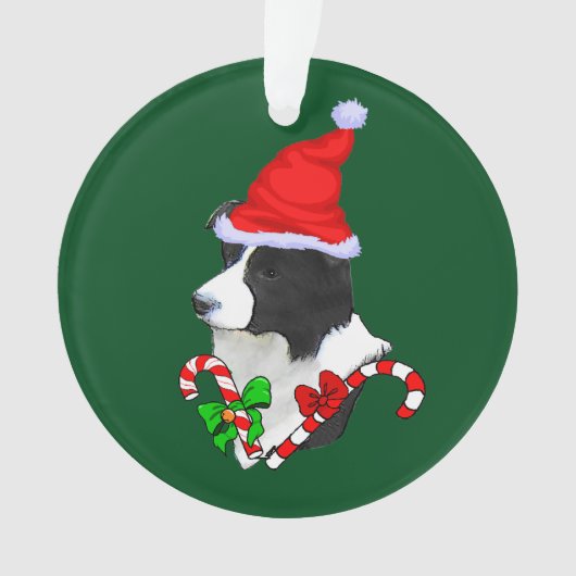 Bordure Collie Noël (devant)