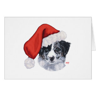 Bordure Collie Noël
