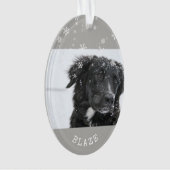 Bordure Collie Noël Personnalisé Animaux de compag (devant)