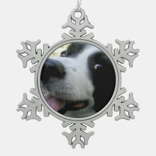 Bordure Collie Ornement de flocon de neige (Devant)