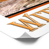 Bordure Collie Partager Une Affiche De Bière (Coin)