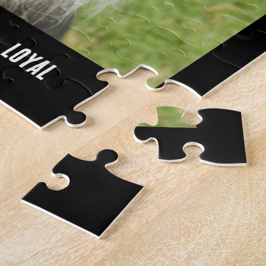 Bordure Collie Photo Chien race Jigsaw Puzzle Puzz (Côté)