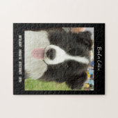 Bordure Collie Photo Chien race Jigsaw Puzzle Puzz (Horizontal)