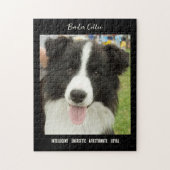 Bordure Collie Photo Chien race Jigsaw Puzzle Puzz (Vertical)