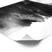Bordure Collie Photo noir et blanc (Coin)