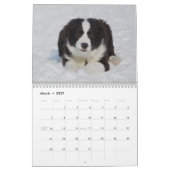 Bordure Collie Puppies calendrier mur (Mar 2027)