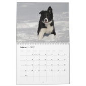 Bordure Collie Puppies calendrier mur (Feb 2027)