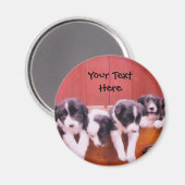 Bordure Collie Puppies Dans Le Magnet Du Tiroir (Recto/Verso)