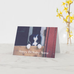 Bordure Collie Puppy Carte d'anniversaire personna