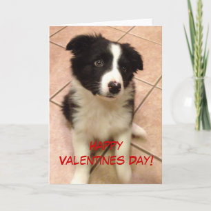 Bordure Collie Puppy Carte Saint Valentin
