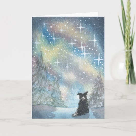 Bordure Collie Regarde Starry Sky, CARTE Vacances (Devant)
