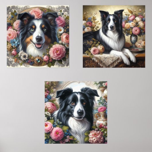 Bordure Collie Rose victorien (Recto)