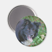 Bordure Collie souriant mignon Aimant chien (Recto/Verso)