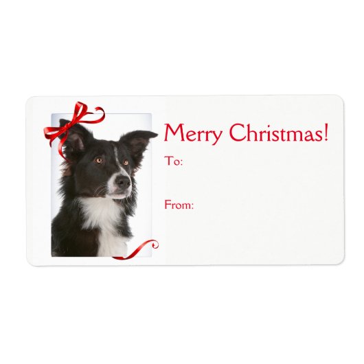 Bordure Collie Stickers Cadeaux de Noël (Devant)