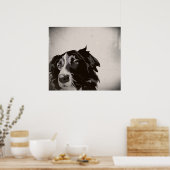 Bordure Collie urbain no 1 affiche d'art (Cuisine)